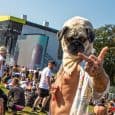 Leeds Festival triumphs in the late summer sunshine - Foo Fighters, Billie Eilish and The Chats were the tops!!