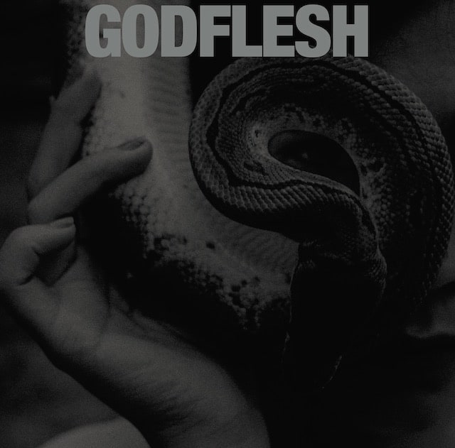 Godflesh announces new album, ‘PURGE’