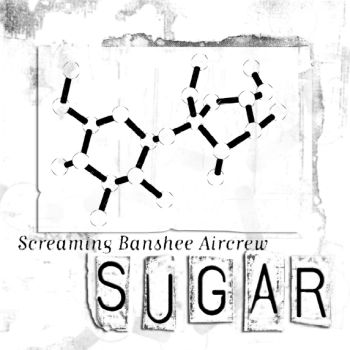 screaming_banshee_aircrew_-_sugar